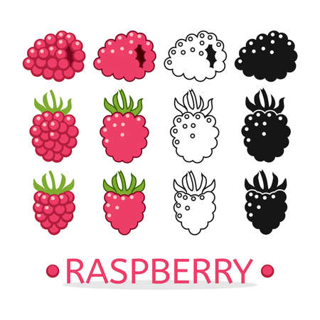 vector raspberry set isolated on white background. colorful, black and thin line berry fruits symbols. organic raspberry foodのイラスト素材