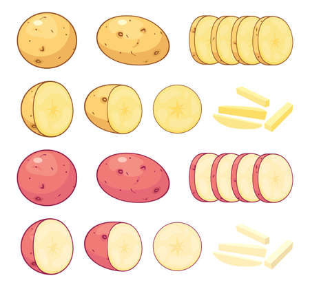 vector whole potatoes and potato cuts isolated on white background. organic vegetarian food symbols. raw uncooked potatoes of yellow and pink colorsのイラスト素材