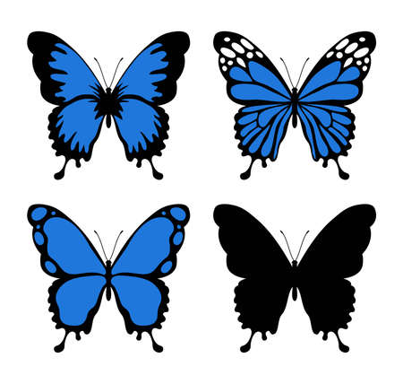 vector beautiful butterfly insect isolated on white background. silhouette of colorful tropical butterflies. summer nature illustrationのイラスト素材