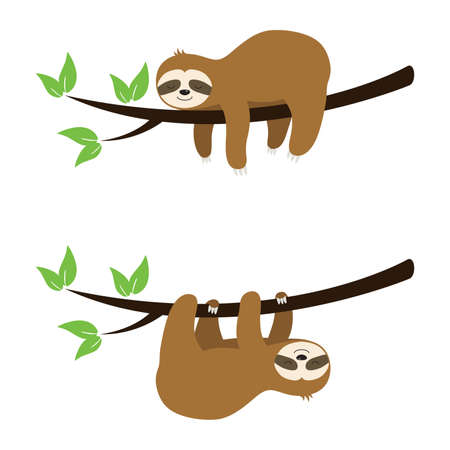 vector set of cute sloth cartoon on a tree isolated on white background. baby sloth character. slow and lazy mammal animal illustration.のイラスト素材