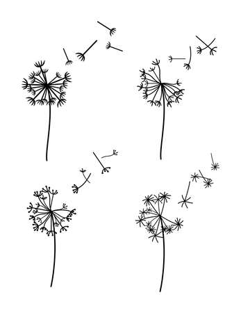 vector illustration of dandelion seeds blown in the wind isolated on white backgroundのイラスト素材