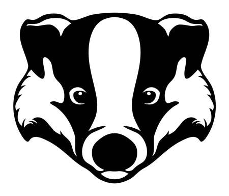 vector forest badger head isolated on white background. wildlife nature symbol. mammal badger iconのイラスト素材