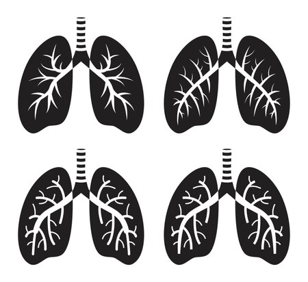 vector set of human lungs flat icon isolated on white background. lung organ anatomy symbol for health and medical illustrationsのイラスト素材
