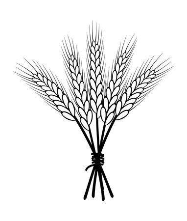vector icon of wheat ears sheaf, black and white agricultural background, machinery farm wheat harvest industry symbol isolated on white backgroundのイラスト素材