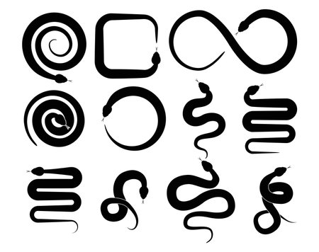 vector set of snake silhouette icons. black snakes isolated on white background. tattoo design illustrationのイラスト素材