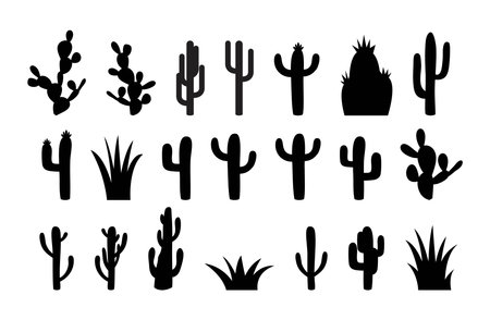 vector set of cactus silhouettes isolated on white background. cactus of different shapesのイラスト素材