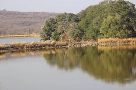 Beautiful landscape from Ranthambore, with Tiger in the middle, heading to its habitat