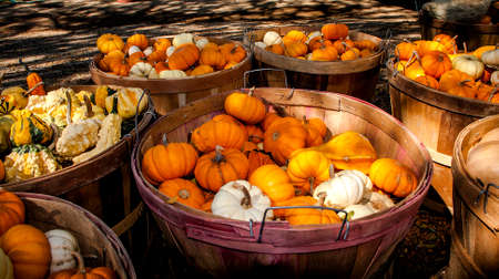 Baskets of colorful gourds for saleの写真素材