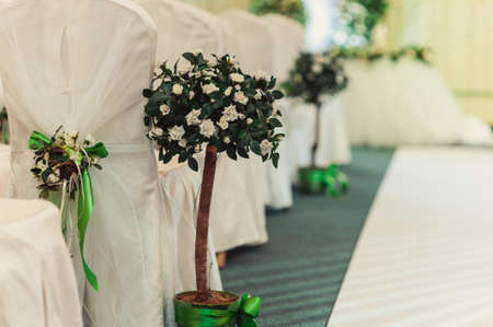 Decoration of chairs at the wedding. Beautiful chairs with decorationsの写真素材