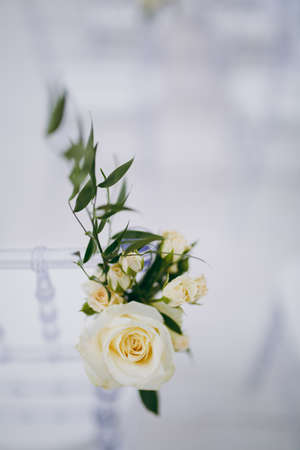 Decoration of chairs at the wedding. Beautiful chairs with decorationsの写真素材