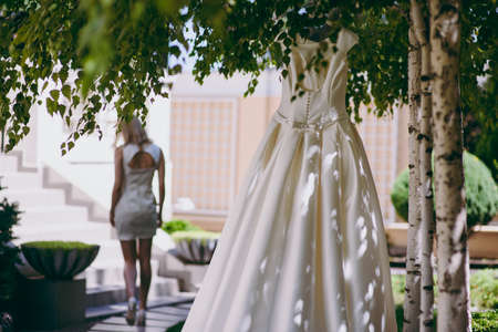 Beautiful bride wedding dresses separatelyの写真素材