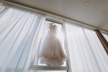 Beautiful bride wedding dresses separatelyの写真素材
