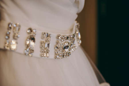 Beautiful bride wedding dresses separatelyの写真素材