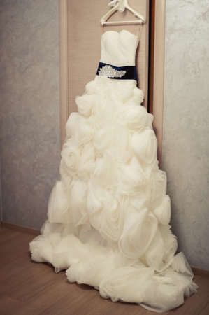 Beautiful bride wedding dresses separatelyの写真素材