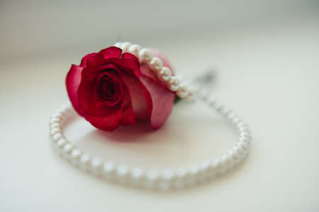 wedding jewelry, white earrings and bracelet bride, wedding ceremony, the bride's morning, preparing for the weddingの写真素材