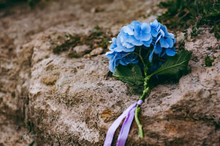 Beautiful bouquet of the bride in different color tonesの写真素材