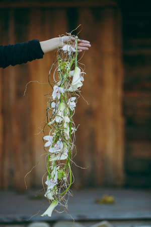 Orchids and callas. Bride holding big wedding bouquet on wedding ceremonyの写真素材