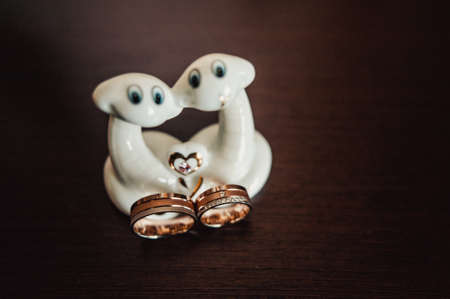 Two wedding rings of the bride and groom close-upの写真素材