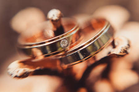Two wedding rings of the bride and groom close-up