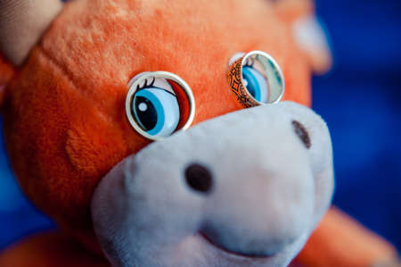 Two wedding rings of the bride and groom close-upの写真素材
