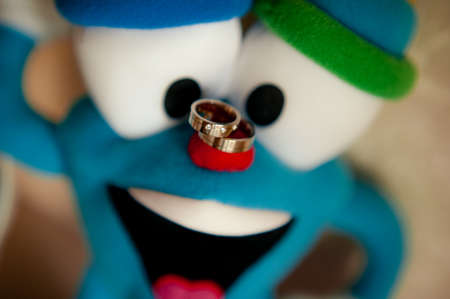Two wedding rings of the bride and groom close-up