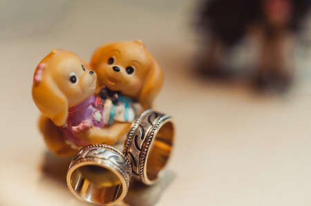Two wedding rings of the bride and groom close-upの写真素材