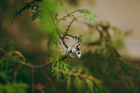 Two wedding rings of the bride and groom close-upの写真素材