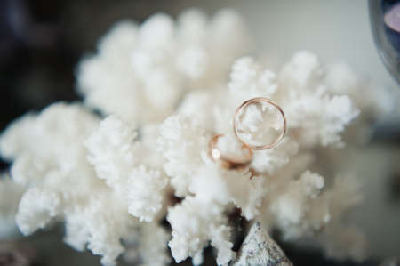 Two wedding rings of the bride and groom close-upの写真素材