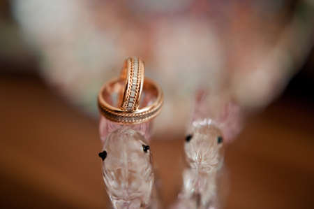 Two wedding rings of the bride and groom close-up