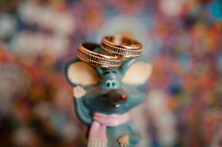 Two wedding rings of the bride and groom close-upの写真素材