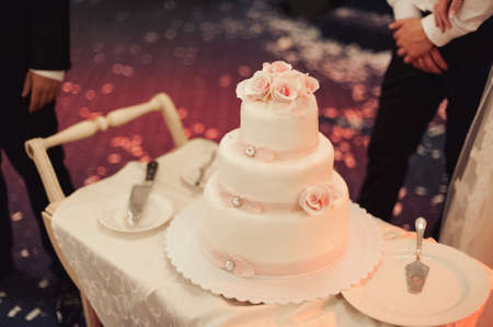 Beautiful white and colored wedding cake. A bride and a groom is cutting their wedding cakeの写真素材