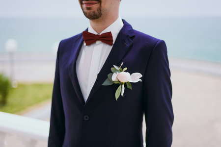 The groom puts on a butterfly. A business man dresses a butterfly.の写真素材