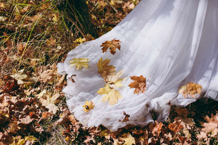 Yellow leaves on a wedding dress in autumnの写真素材