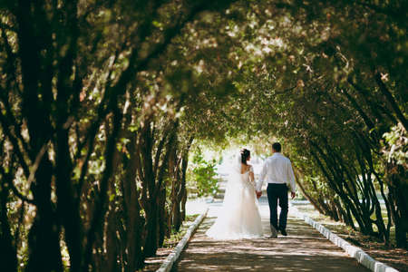 Wedding couple bride and groom on a walkの写真素材