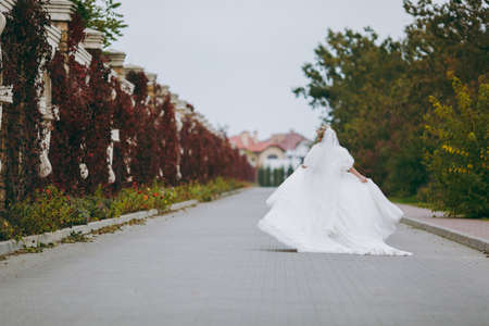 Wedding couple bride and groom on a walkの写真素材