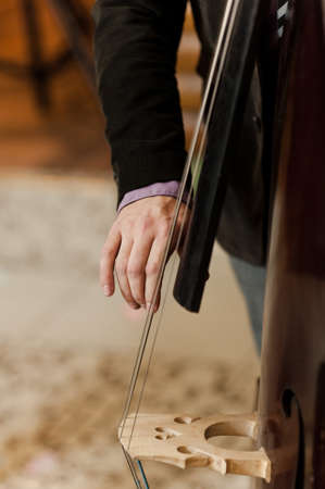 Hand of the musician on the bass stringsの写真素材
