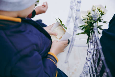 Little hands, spring flower, close up, petalsの写真素材
