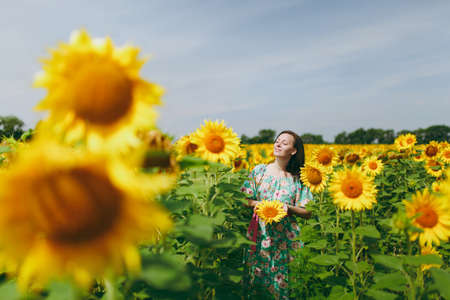 The brunette girl in a field of sunflowersの写真素材