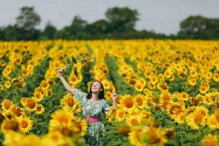 The brunette girl in a field of sunflowers like in the showerの写真素材