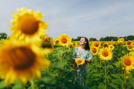 The brunette girl in a field of sunflowersの写真素材