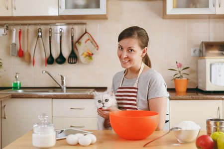 The young beautiful happy woman with a white Persian cat prepares dough for Christmas cakes with tablet on table in the kitchen. Cooking home. Prepare food.の写真素材