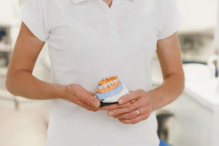 The dentist in a white suit holds in hands dentures in the dental office, close-upの写真素材