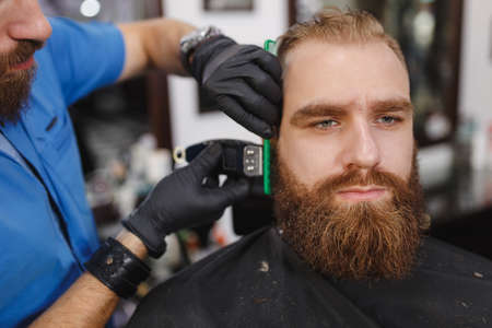 Close up of male professional hairdresser serving client with thick big beard by clipper. Ginger...