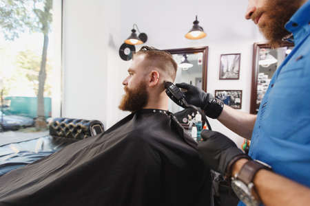 Male professional hairdresser serving client by clipper. Ginger handsome brutal stylish young man with thick big beard and short hair getting trendy haircut in black cape. Light white barber shopの写真素材