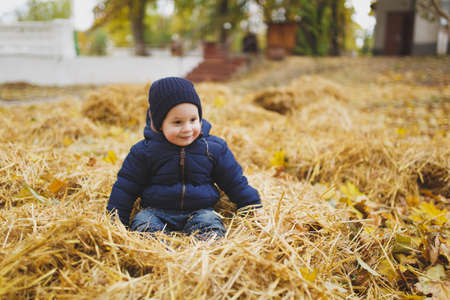 Little cute child baby boy walk in fall park, sit, lay in pile of straw, have fun in dry yellow autumn grass. Small kid son rest. Parenthood, family day 15 of may, love, parents, children conceptの写真素材