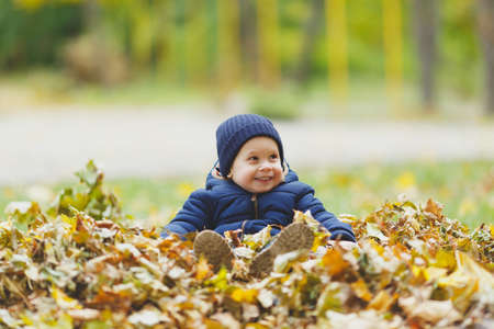 Little cute child baby boy walk in fall park, sitting in pile of leaves, toss throw up dry yellow autumn leaves. Small kid son rest. Parenthood, family day 15 of may, love, parents, children conceptの写真素材