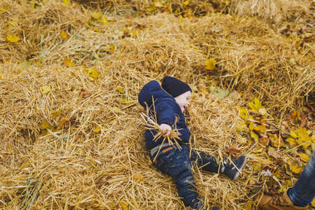Little cute child baby boy walk in fall park, sit, lay in pile of straw, have fun in dry yellow autumn grass. Small kid son rest. Parenthood, family day 15 of may, love, parents, children conceptの写真素材