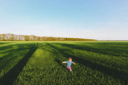 Joyful little cute child baby boy walk on green grass field wheat background, rest, have fun, play, run. Small kid son. Family summer day, 15 of may, love, good mood, parents, children conceptの写真素材