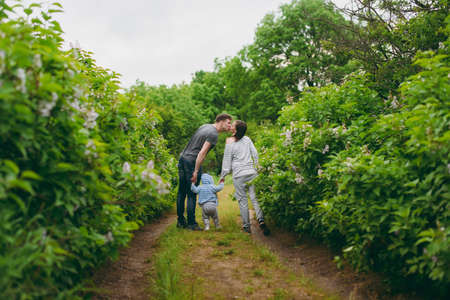 Man, woman walking on nature bush background holding hands little cute child baby boy. Mother kiss father, little kid son. Parenthood, family day 15 of may, love, parents, children concept. Back viewの写真素材