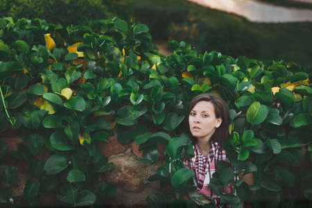 Portrait of young attractive beautiful cutie brunette woman standing in summer warm sunny day in green bushes with big leaves in front of stone rock fence. Sensualityの写真素材